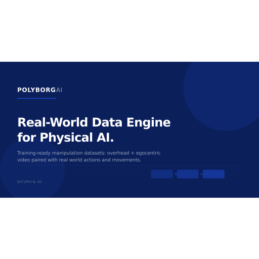 Polyborg ai